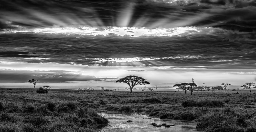 Monochrome sunrise von Jeffrey C. Sink