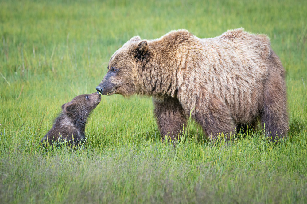 Not seeing eye to eye.... von Jeffrey C. Sink