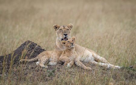 Only in Kenya - I love you mom....