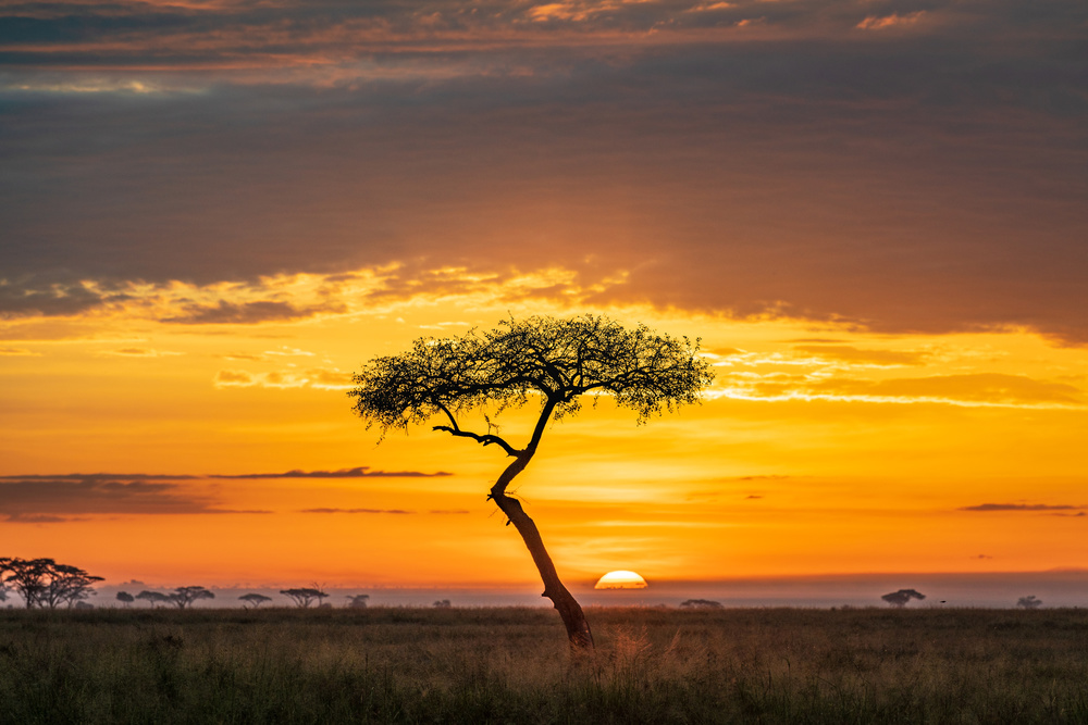 Sunrise von Jeffrey C. Sink