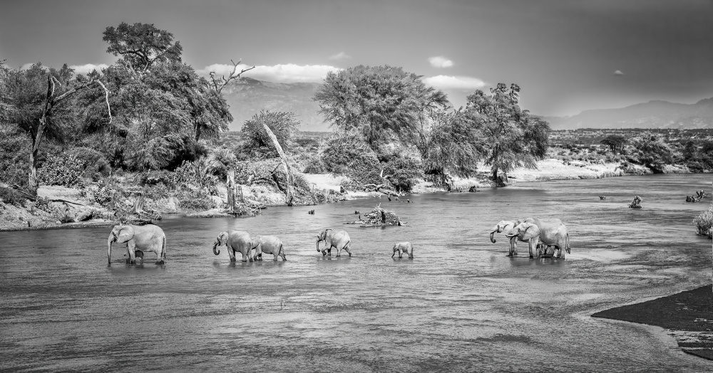 Incredible Samburu von Jeffrey C. Sink