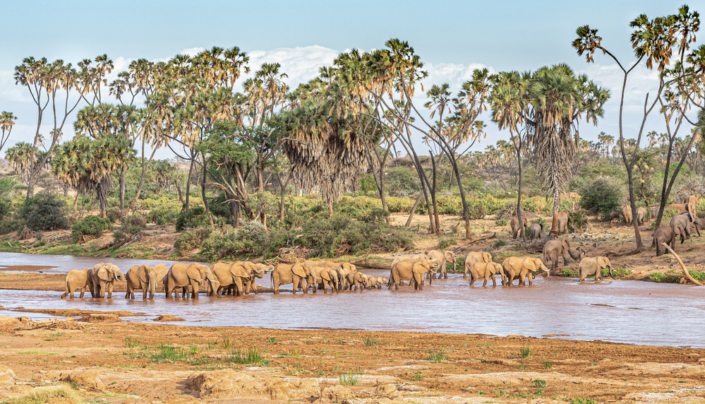 Why go to East Africa? von Jeffrey C. Sink