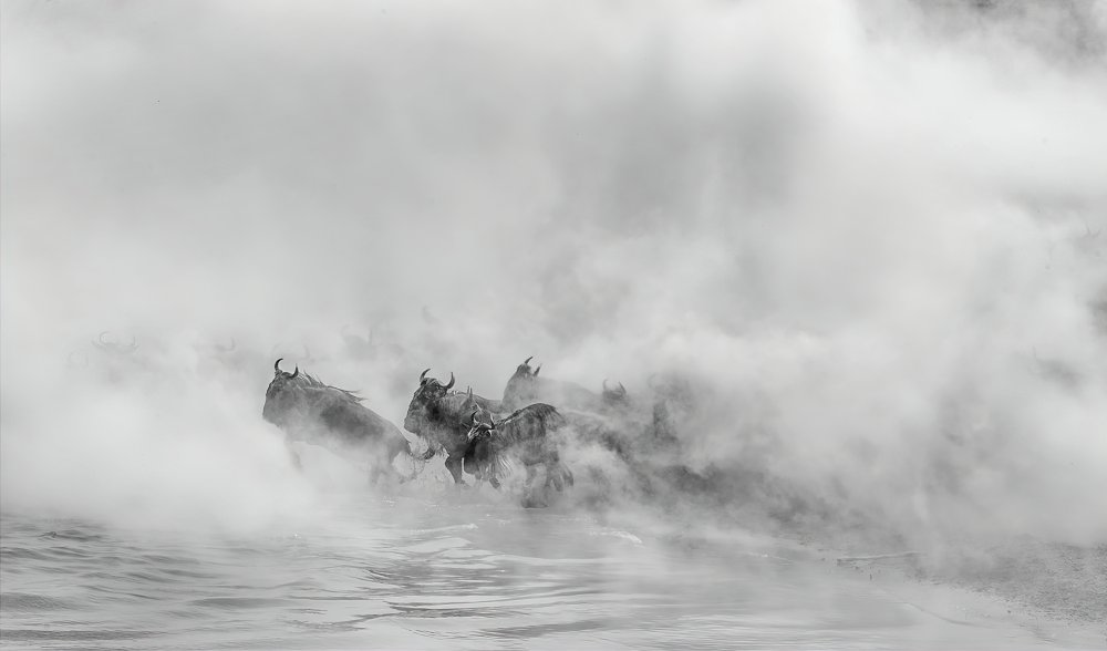 Out of Dust     (Great Migration -crossing river) von Jennifer Lu