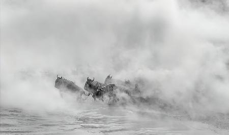 Out of Dust     (Great Migration -crossing river)