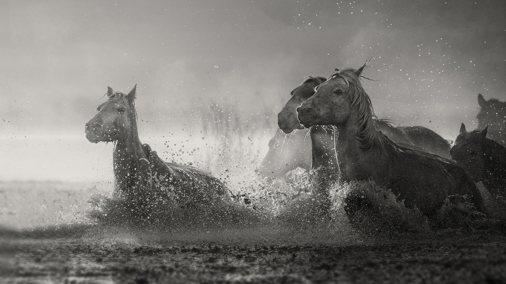 A muddy morning .. von Jennifer Lu