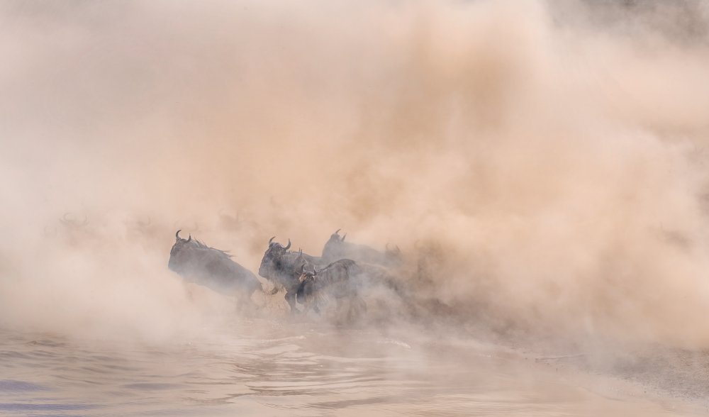 Great migration (crossing river) von Jennifer Lu