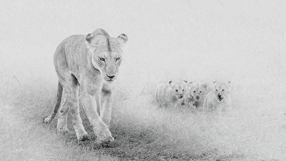 Walk in the rain ... von Jennifer Lu