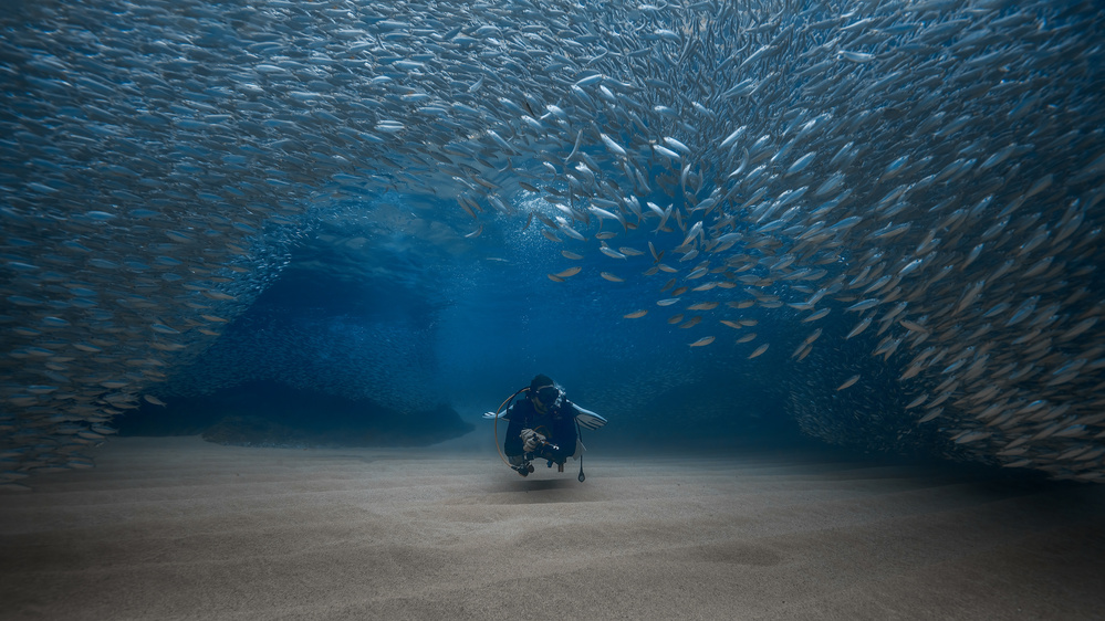 Ocean -the fish home von Jennifer Lu