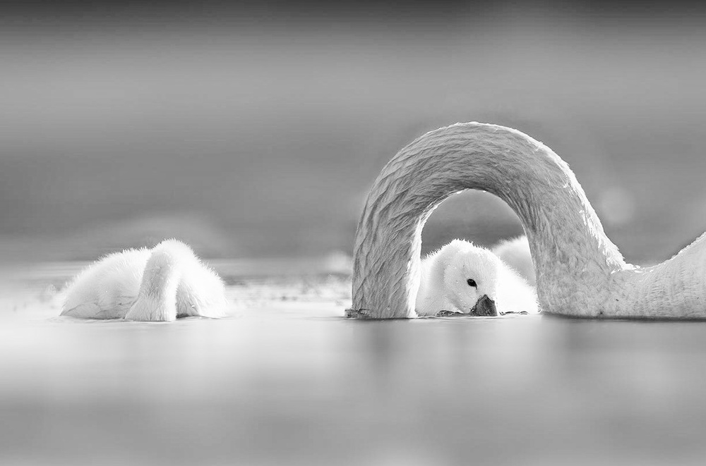 Under the bridge von Jennifer Lu