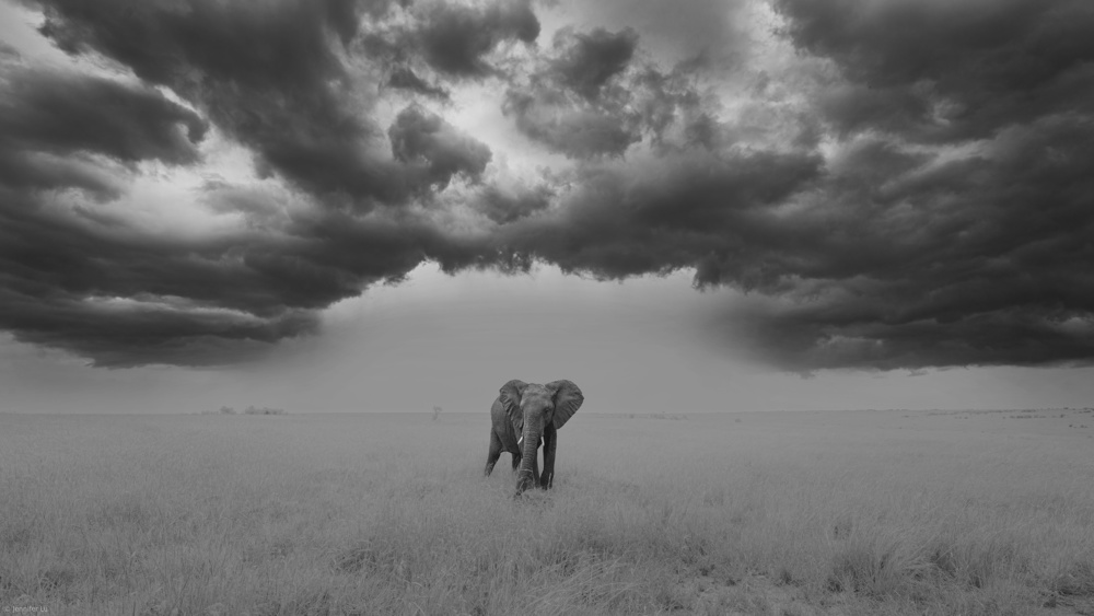 Beautiful storm von Jennifer Lu