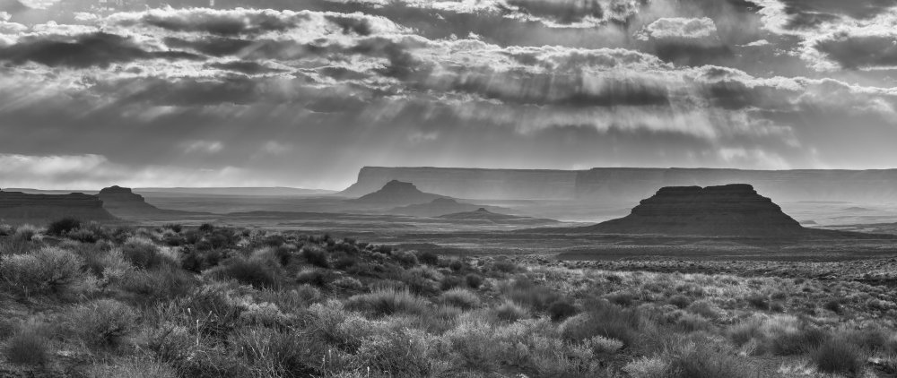 American West von Jennifer Zhao