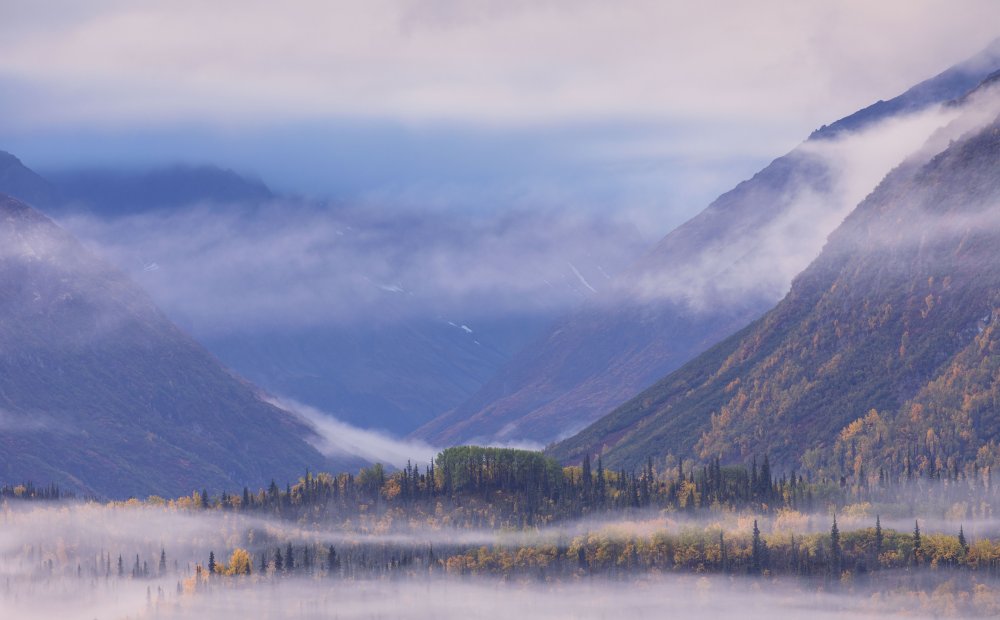 Autumn whispered by the fog von Jennifer Zhao