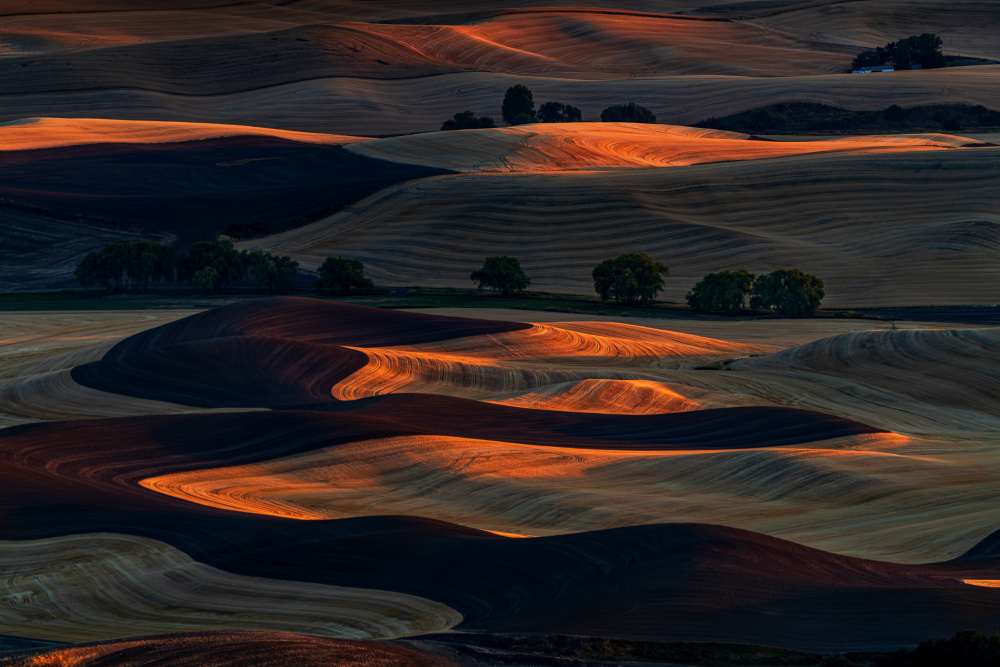 Sunset Light on Rolling Hills von Jenny Chin