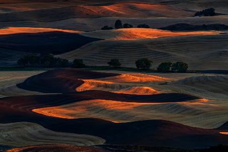 Sunset Light on Rolling Hills