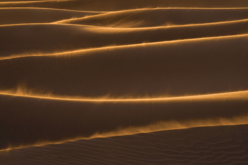 Golden Flare Sand Dunes von Jenny Chin