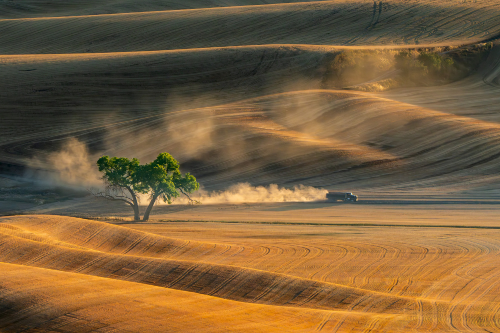 Dust Filled Trail von Jenny Chin