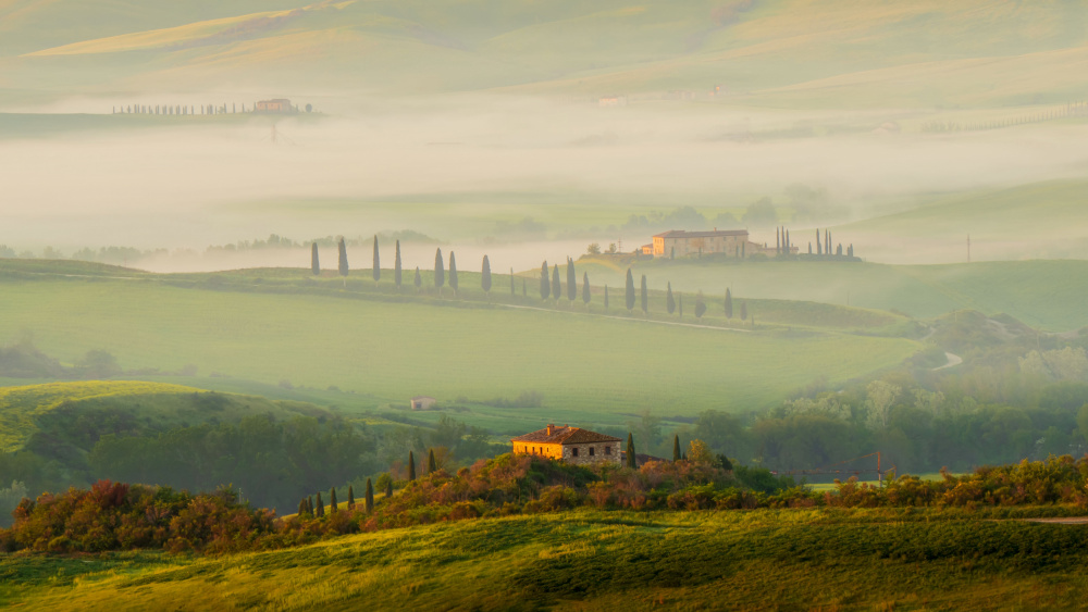 Tuscany Morning von Jenny Chin