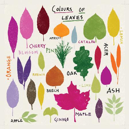 Colours of Leaves