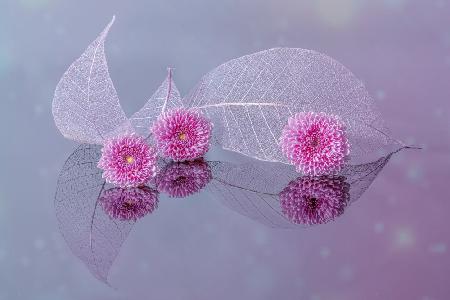 flowers and leaves