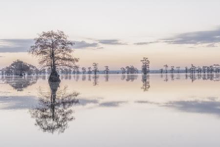 Caddo Lake 9