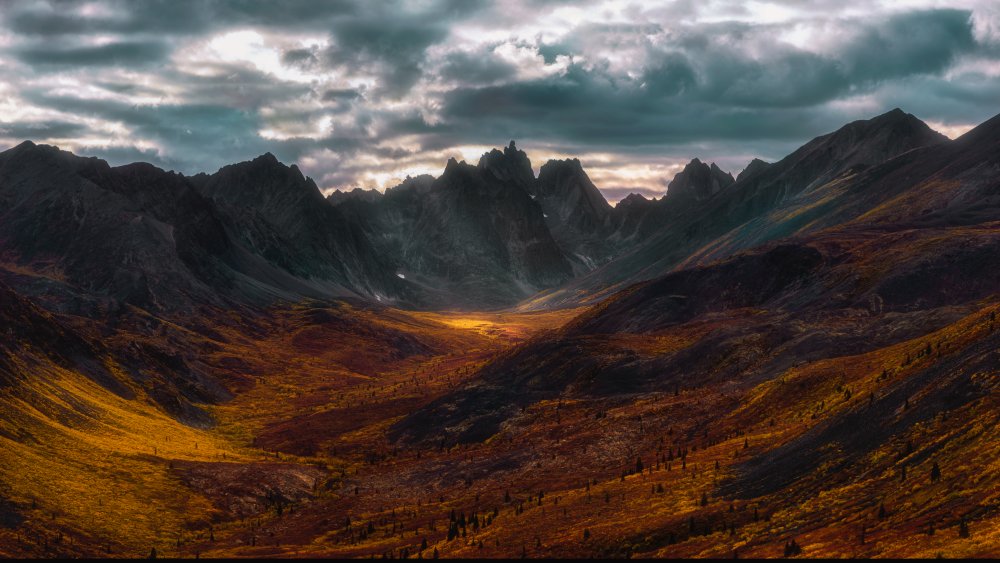 Autumn in Tombstone Mountain von Jenny L. Zhang ( 雨田）