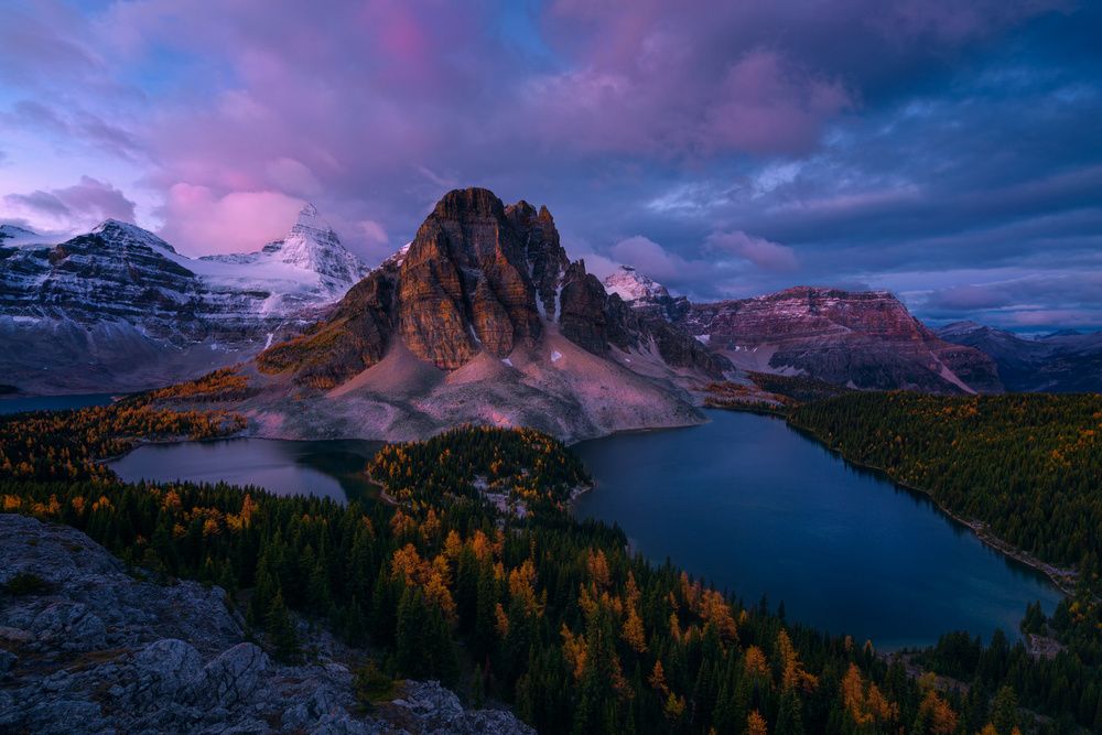 Sunrise at Mt. Assiniboine von Jenny L. Zhang ( 雨田）