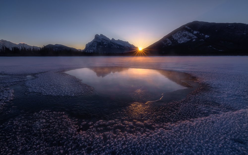 Warm Winter Sun von Jenny L. Zhang ( 雨田）