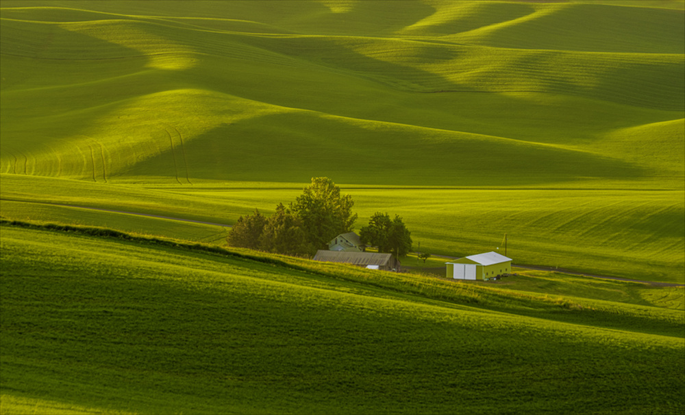 A view of the farm house in Palouse von Jenny Morrison