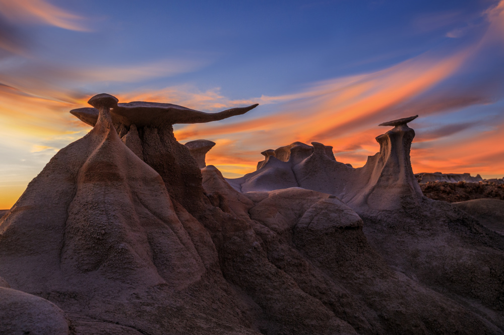 The Wings at Dusk von Jenny Qiu