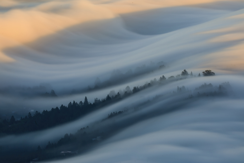 The Waves of Fogs von Jenny Qiu