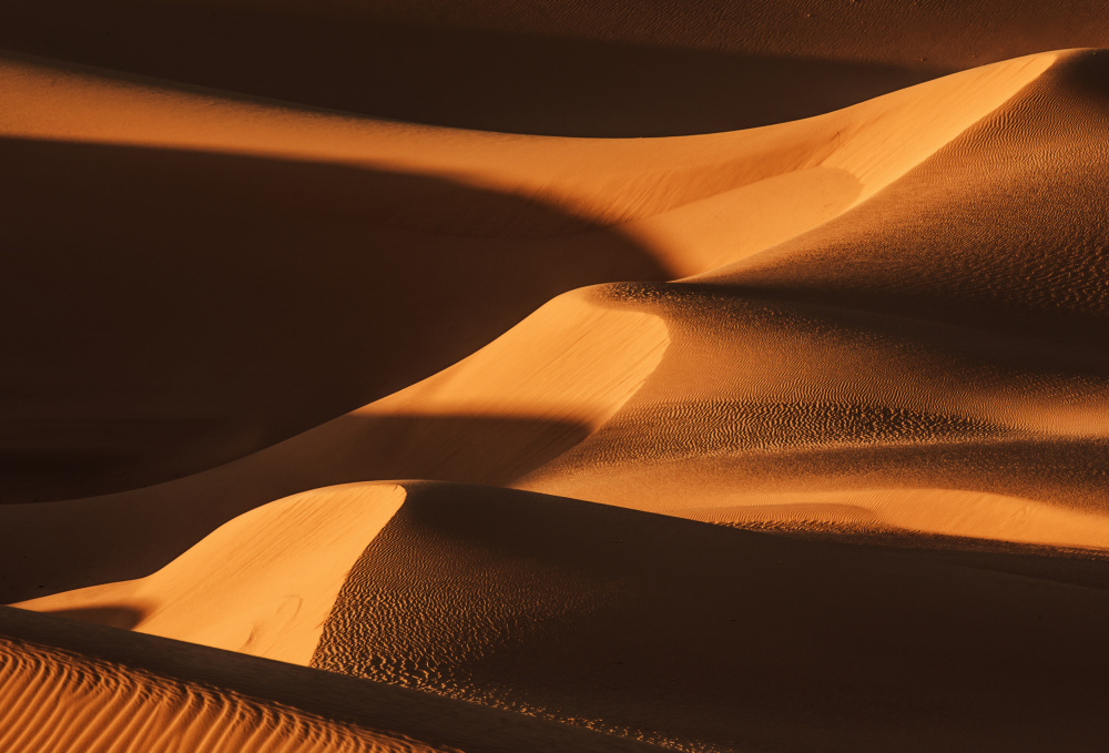 The Sand Dune Ladder von Jenny Qiu