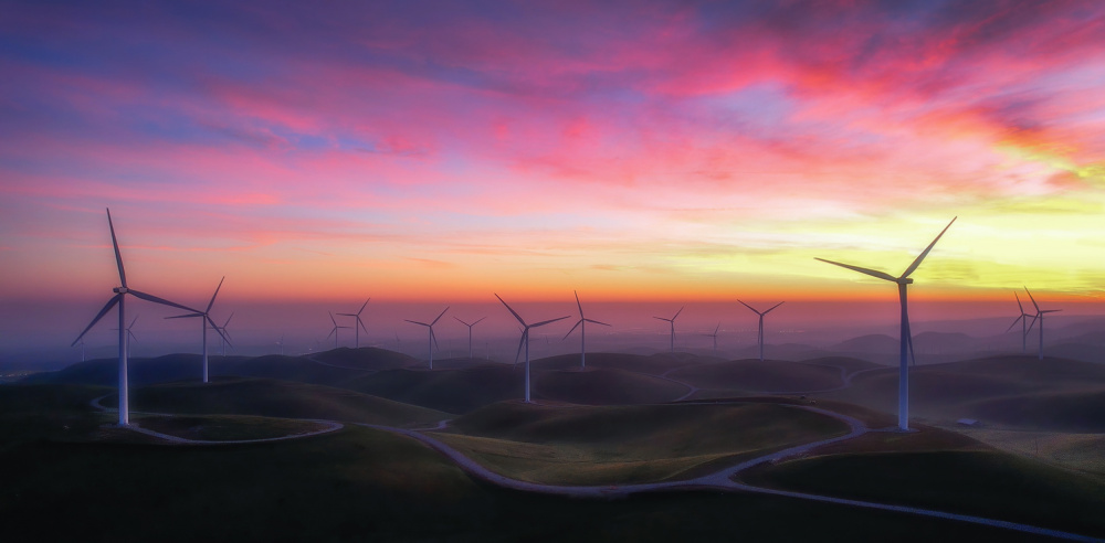 The Windmill Farm at Dawn von Jenny Qiu