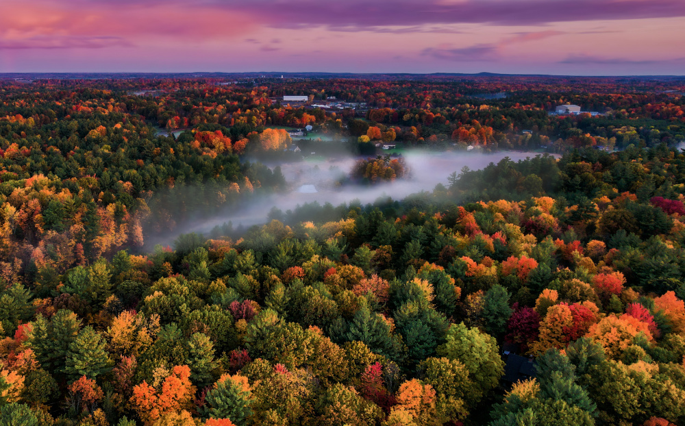 An Autumn Morning in Ontario von Jenny Qiu