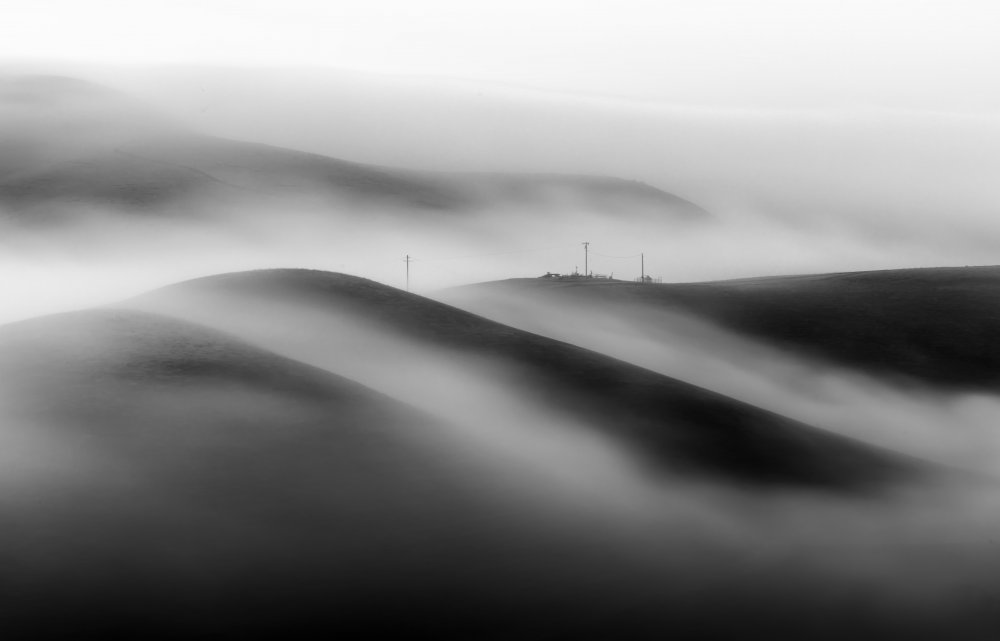 A Foggy Morning von Jenny Qiu