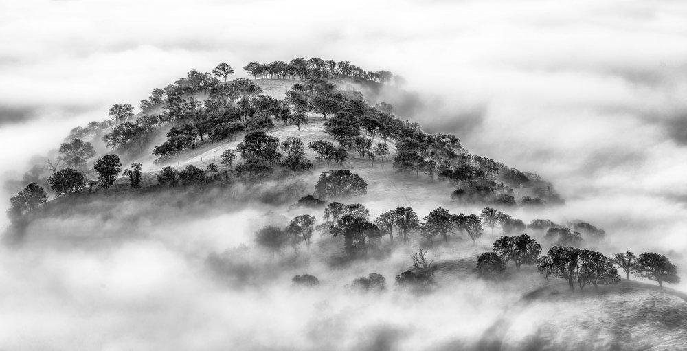 A Foggy Morning von Jenny Qiu