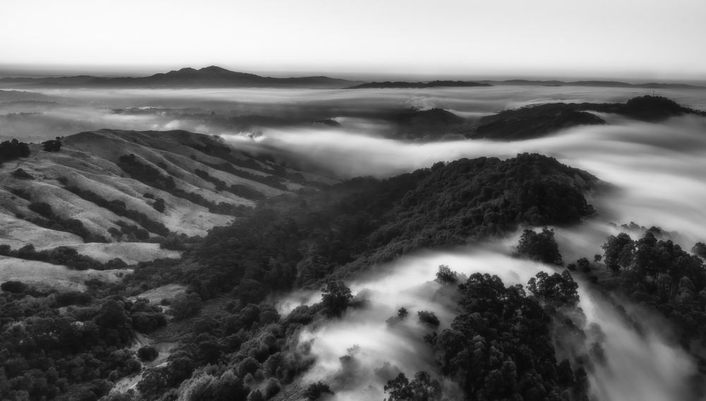 A Foggy Morning at Berkeley von Jenny Qiu