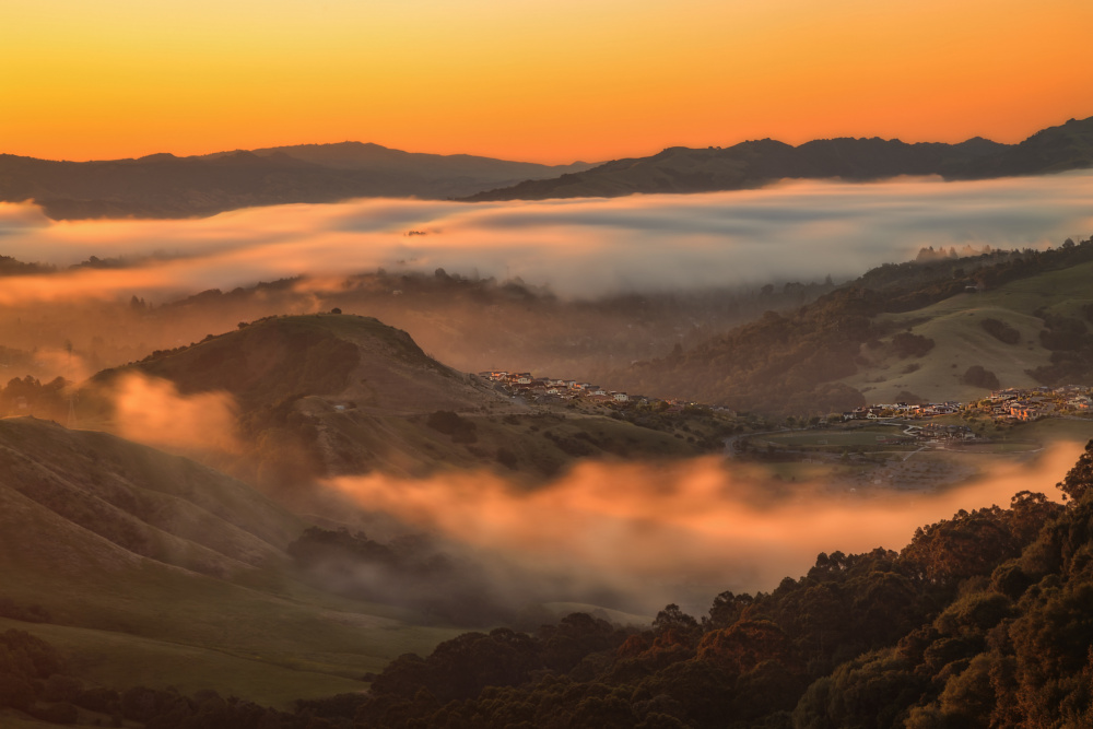 A Foggy Morning in East Bay von Jenny Qiu