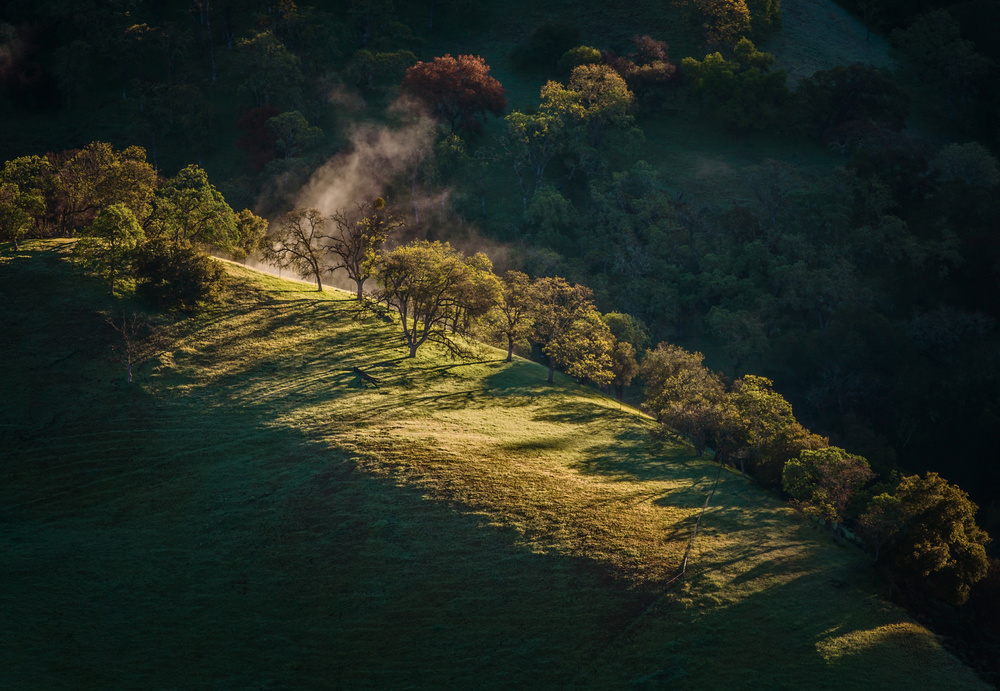 Good Morning Sunol von Jenny Qiu