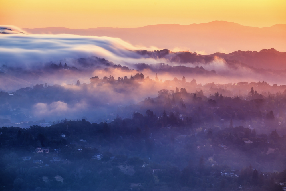 Moring Fogs at Berkeley von Jenny Qiu