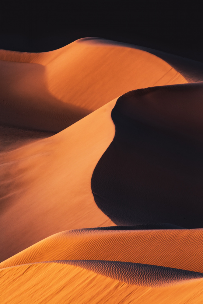 Sand Dunes under the Morning Sun von Jenny Qiu