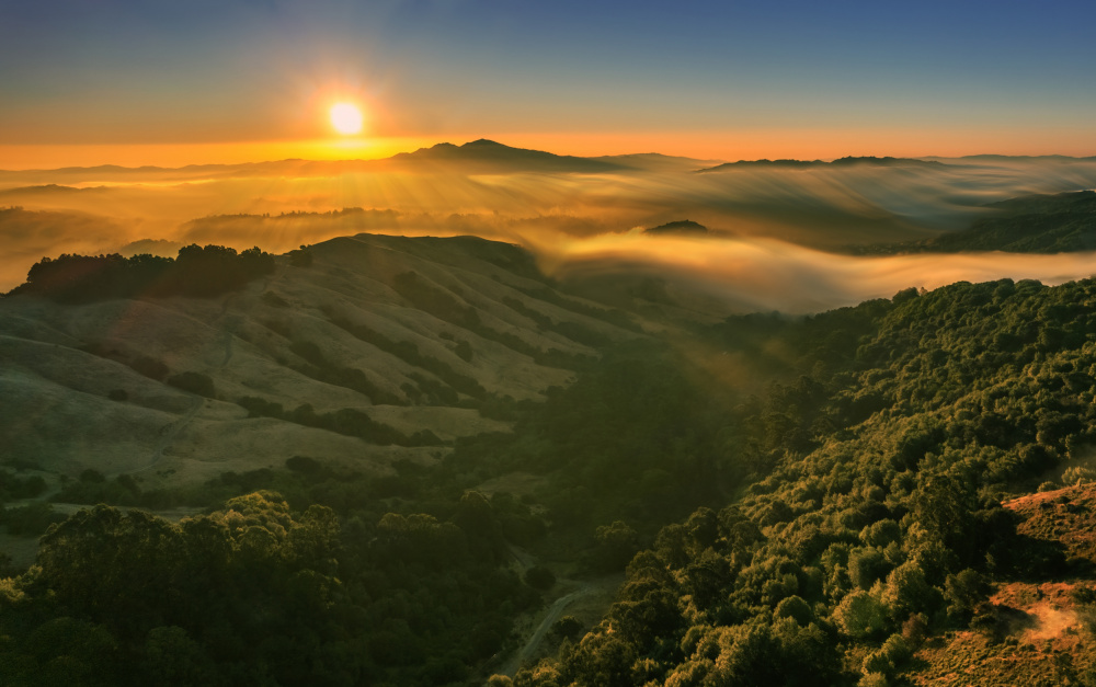 Sunrise at Berkeley von Jenny Qiu