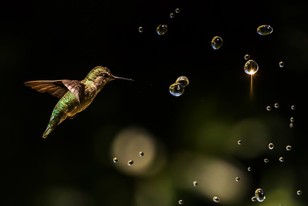 Play with Water Drops von Jenny Qiu