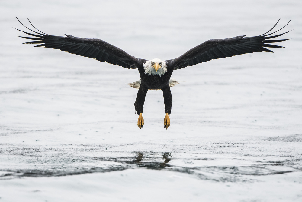 Symmetry von Jerry Berry