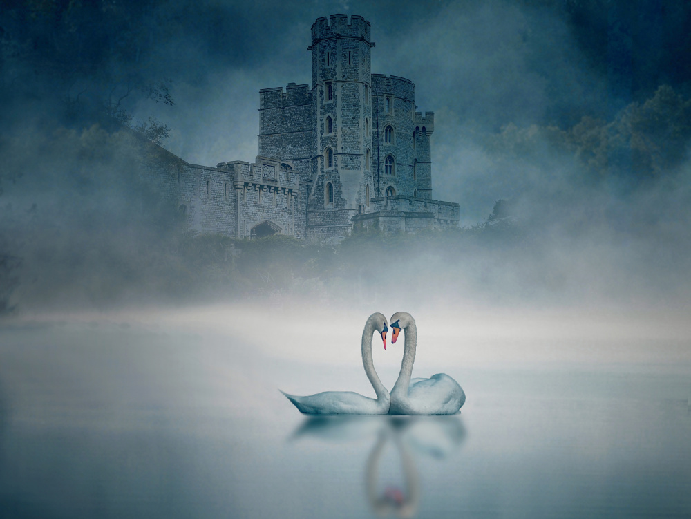 Windsor Castle and Swan von Jiahong Zeng