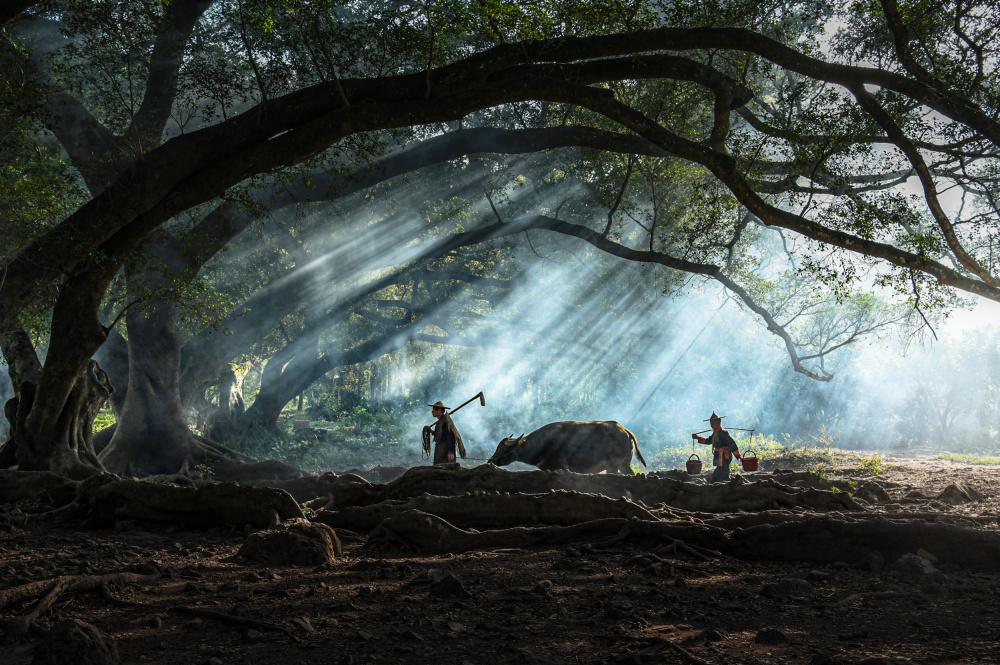 Morning Routine von Jian Wang