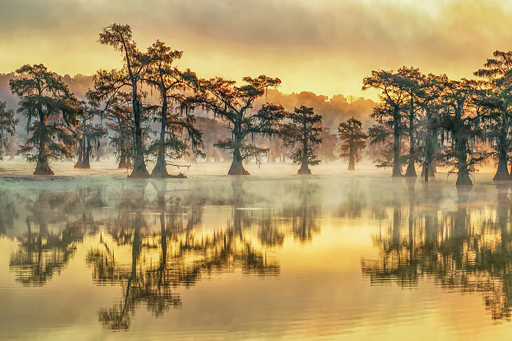 Foggy Morning von Jiangping Chang