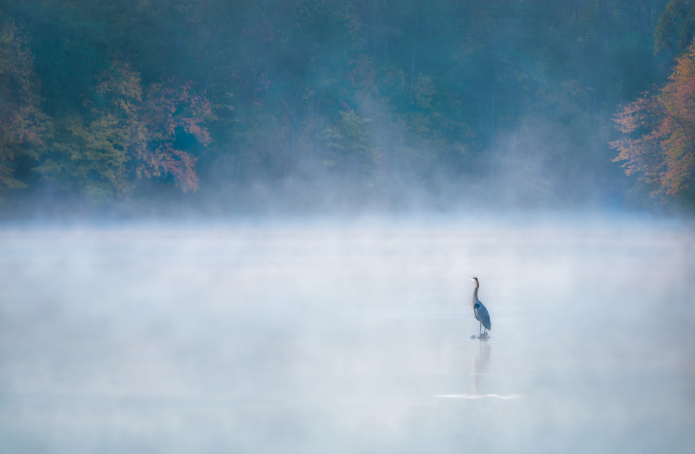 The Guardian of Lake Johnson von Jianping Yang