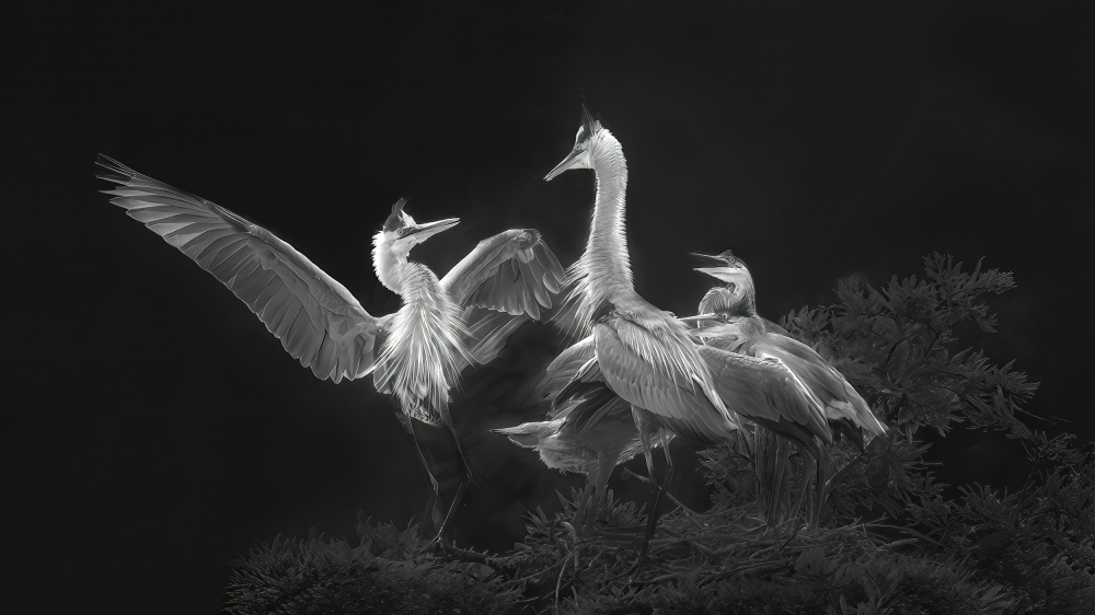 A Dancing Welcome for Mom von Jianping Yang