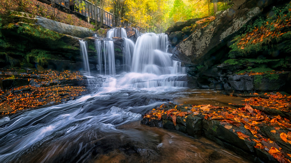 Fall in the Fall von Jianping Yang