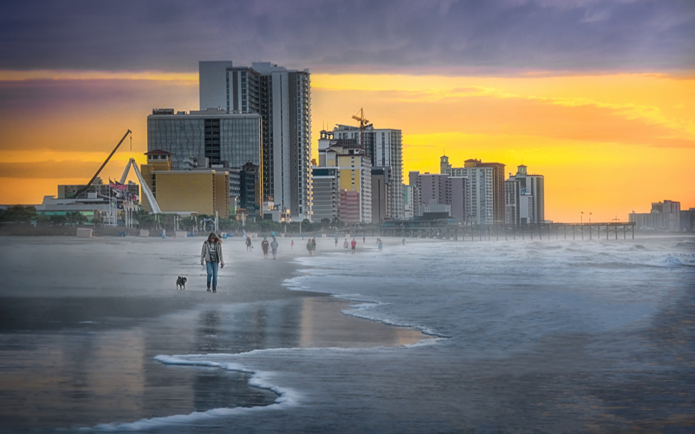 Dog Walking at the Beach von Jianping Yang